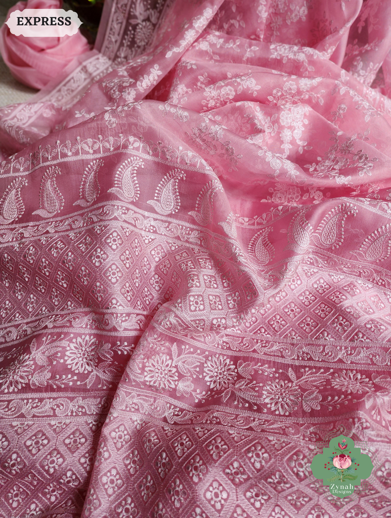 Zynah Baby Pink Organza Saree With Chikankari Style Embroidery; Custom Stitched/Ready-made Blouse, Fall, Petticoat; SKU: 2901202504
