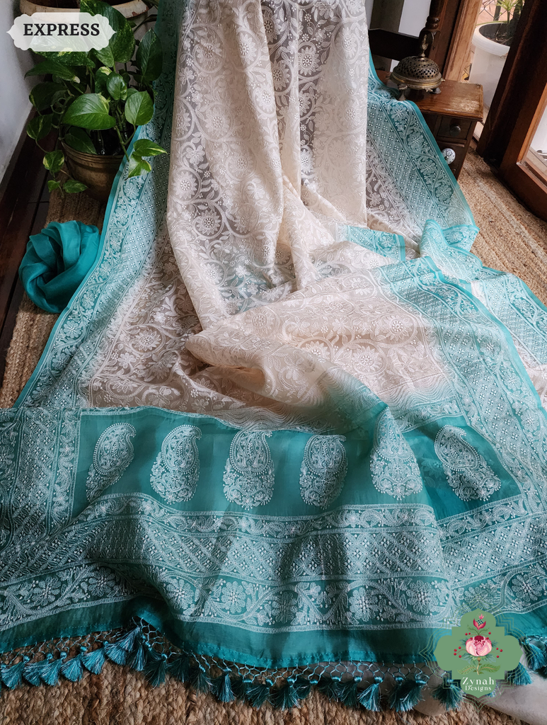 Zynah Nude & Teal Organza Saree With Chikankari Style Embroidery; Custom Stitched/Ready-made Blouse, Fall, Petticoat; SKU: 2901202503