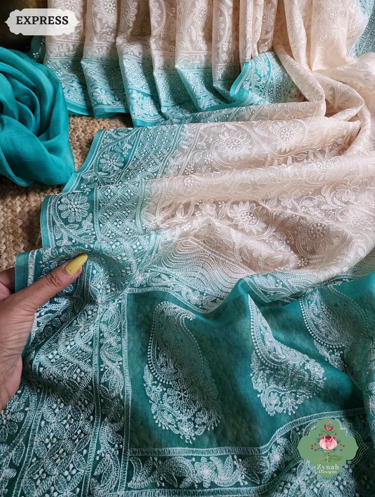 Zynah Nude & Teal Organza Saree With Chikankari Style Embroidery; Custom Stitched/Ready-made Blouse, Fall, Petticoat; SKU: 2901202503