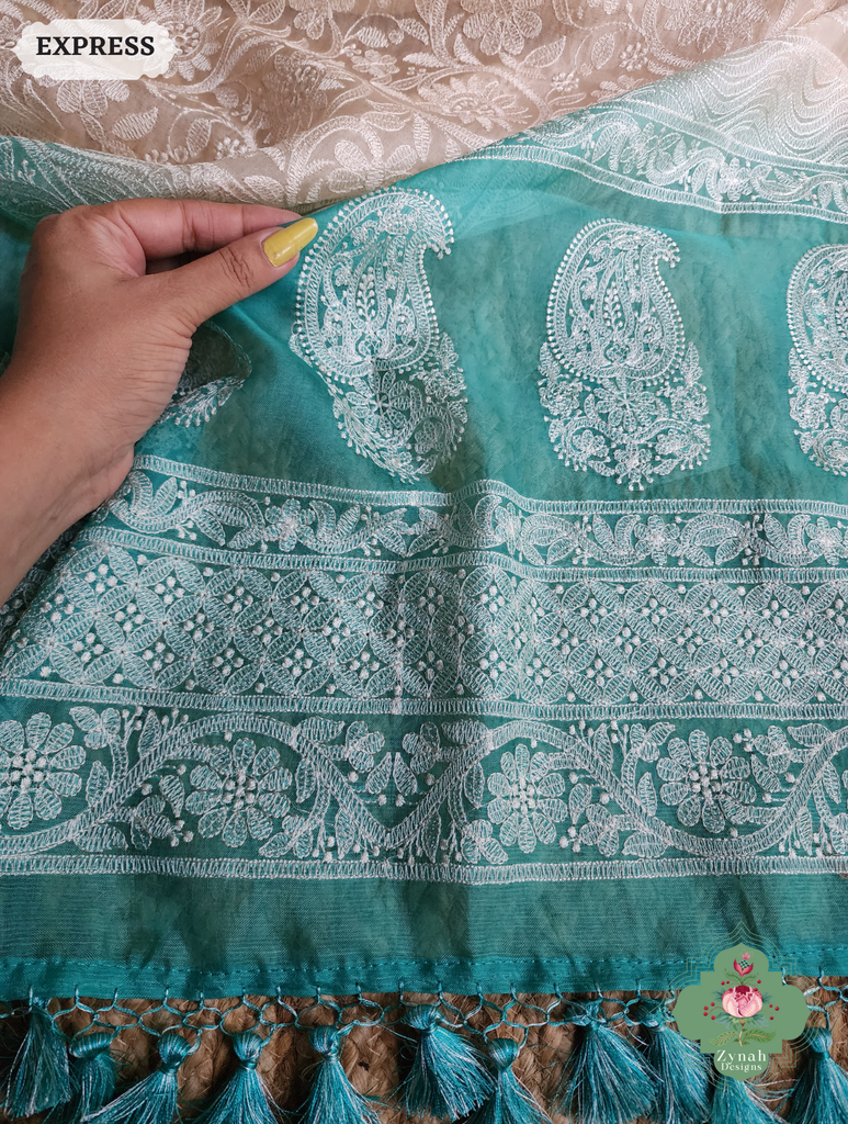 Zynah Nude & Teal Organza Saree With Chikankari Style Embroidery; Custom Stitched/Ready-made Blouse, Fall, Petticoat; SKU: 2901202503