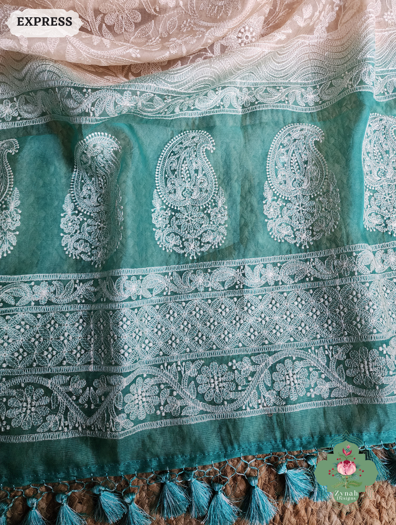 Zynah Nude & Teal Organza Saree With Chikankari Style Embroidery; Custom Stitched/Ready-made Blouse, Fall, Petticoat; SKU: 2901202503