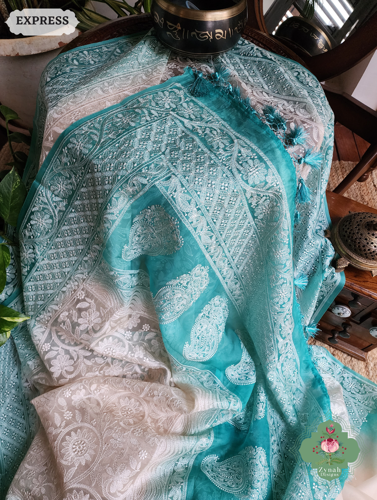 Zynah Nude & Teal Organza Saree With Chikankari Style Embroidery; Custom Stitched/Ready-made Blouse, Fall, Petticoat; SKU: 2901202503