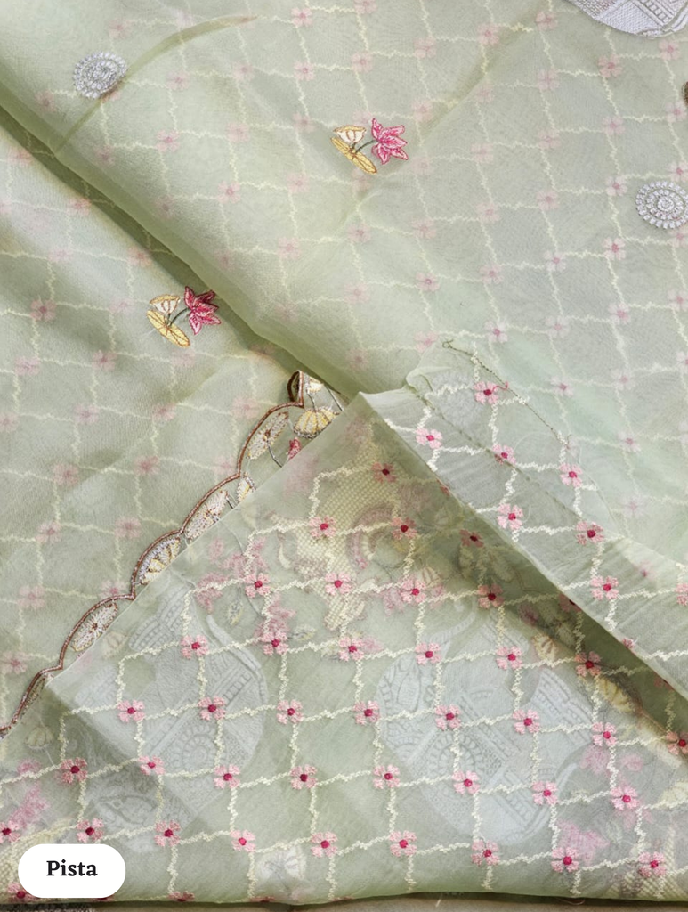 Zynah Pure Organza Silk Sarees With Elephant Pichwai Embroidery & Scallop Border; Custom Stitched/Ready-made Blouse, Fall, Petticoat; SKU: 0401202410