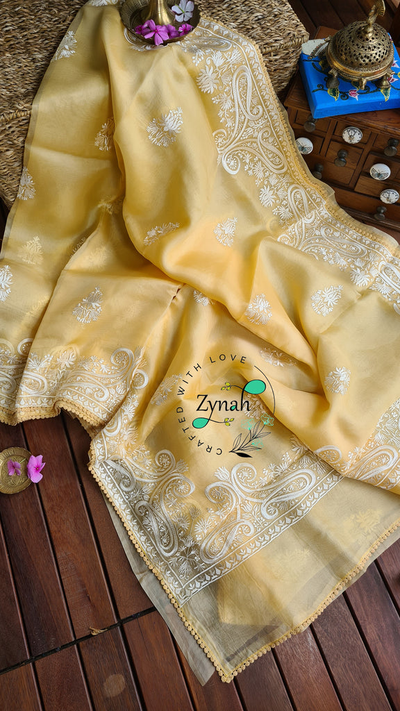 Zynah Pure Organza Silk Saree with Thread Embroidery & Crochet lace Border; Custom Stitched/Ready-made Blouse, Fall, Petticoat; Shipping available USA, Worldwide