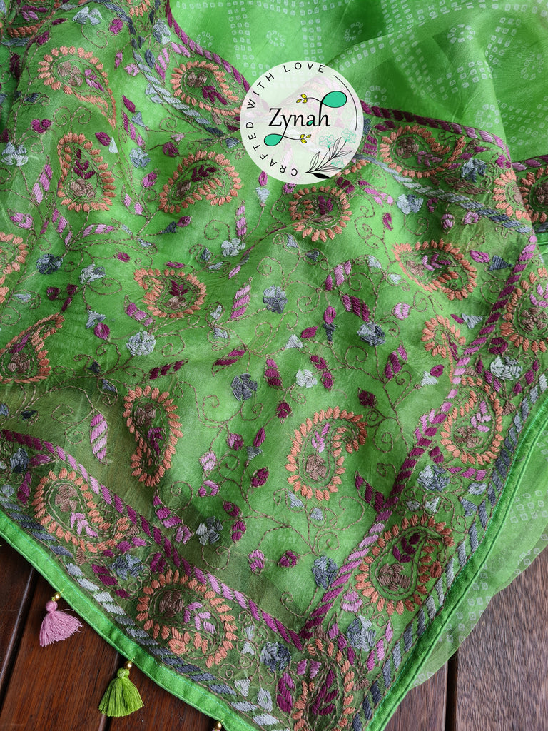 Zynah Light Green Color Pure Organza Silk Saree with Bandhani Prints & Kantha Embroidery; Custom Stitched/Ready-made Blouse, Fall, Petticoat; Shipping available USA, Worldwide