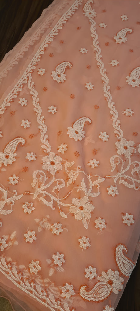 Zynah Peach color Georgette Lucknowi Hand embroidered Chikankari Saree; Custom Stitched/Ready-made Blouse, Fall, Petticoat; Shipping available USA, Worldwide