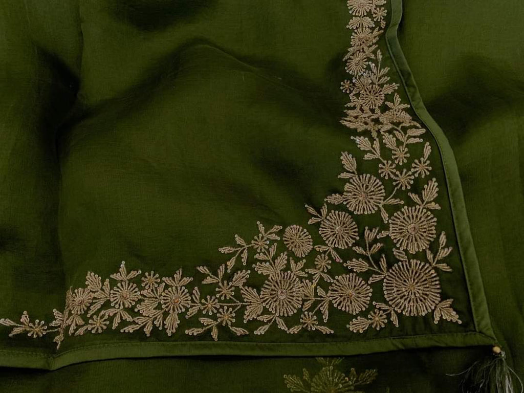 Zynah Organza Silk Saree, with Sequence, Beads Work; Custom Stitched/Ready-made Blouse, Fall, Petticoat; Shipping available USA, Worldwide
