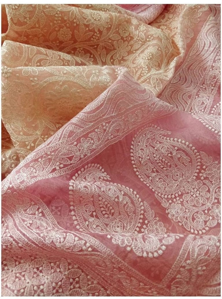 Zynah Pure Organza Silk Saree with Floral Jaal Thread Embroidered; Custom Stitched/Ready-made Blouse, Fall, Petticoat; Shipping available USA, Worldwid