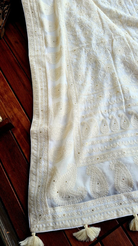 Zynah Pure Georgette Saree with Chikankari Work; Custom Stitched/Ready-made Blouse, Fall, Petticoat; Shipping available USA, Worldwide