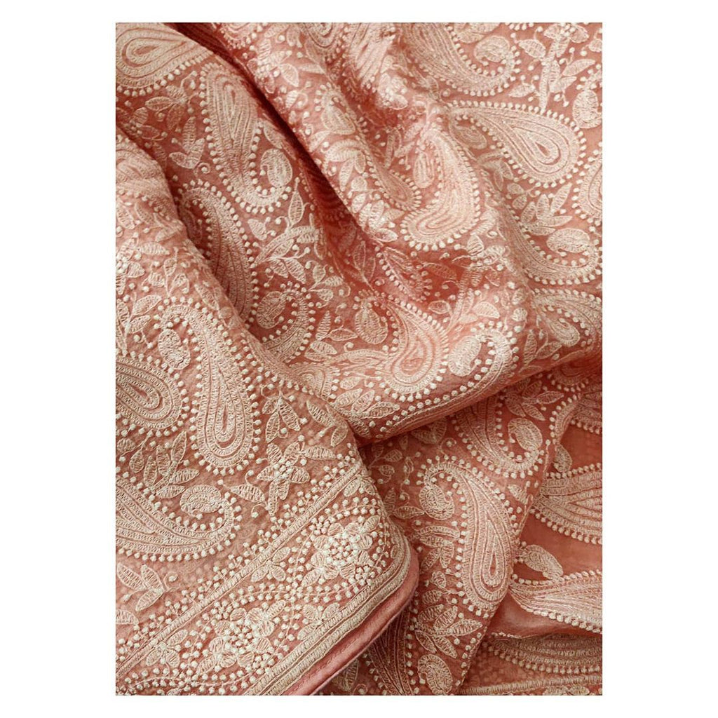 Zynah Pure organza Silk Saree with Chikankari Embroidery; Custom Stitched/Ready-made Blouse, Fall, Petticoat; Shipping available USA, Worldwide