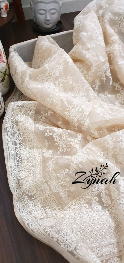 Zynah Pure Organza Chikankari Saree in Pastel Shades; Custom Stitched/Ready-made Blouse, Fall, Petticoat; Shipping available USA, Worldwide