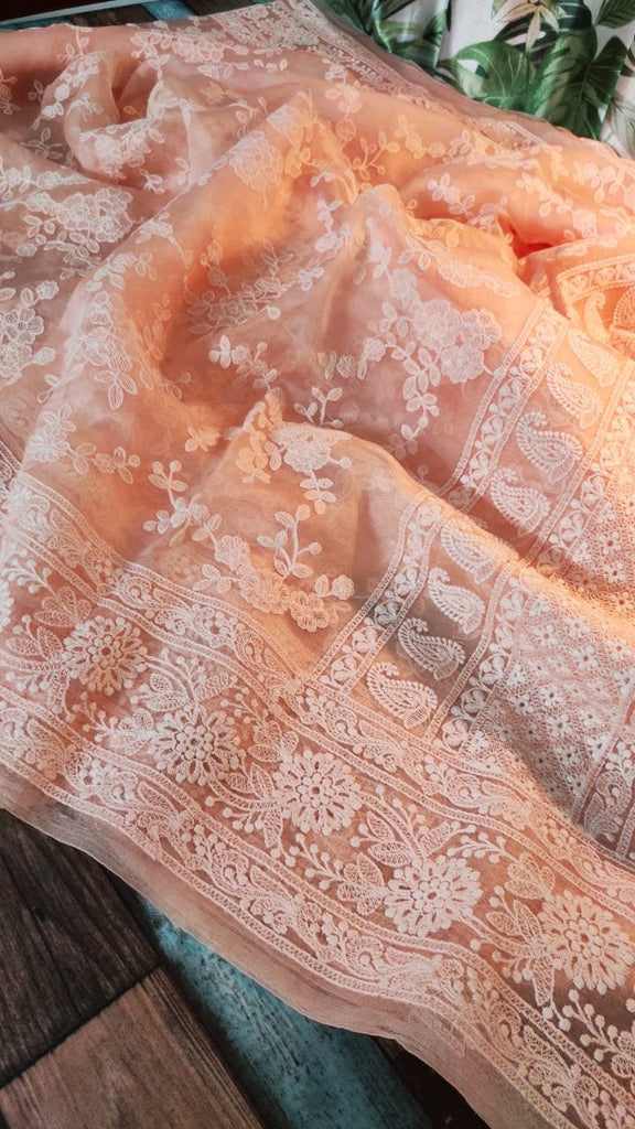 Zynah Pure Organza Chikankari Saree in Pastel Shades; Custom Stitched/Ready-made Blouse, Fall, Petticoat; Shipping available USA, Worldwide