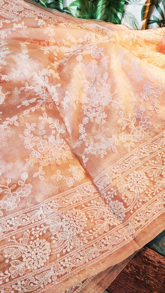 Zynah Pure Organza Chikankari Saree in Pastel Shades; Custom Stitched/Ready-made Blouse, Fall, Petticoat; Shipping available USA, Worldwide