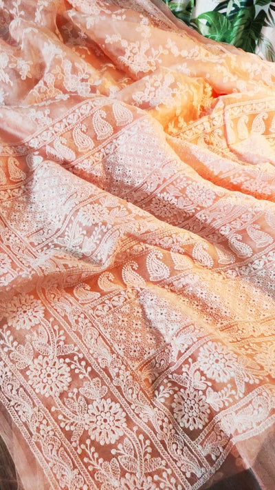 Zynah Pure Organza Chikankari Saree in Pastel Shades; Custom Stitched/Ready-made Blouse, Fall, Petticoat; Shipping available USA, Worldwide