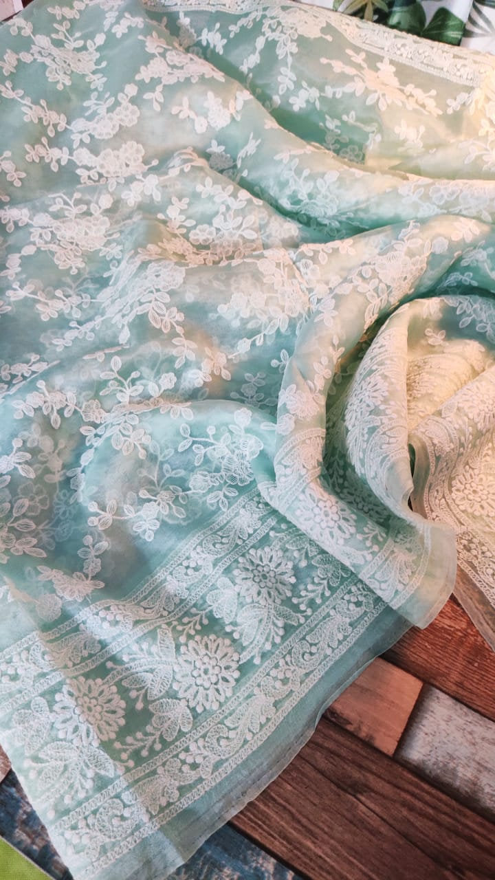 Zynah Pure Organza Chikankari Saree in Pastel Shades; Custom Stitched/Ready-made Blouse, Fall, Petticoat; Shipping available USA, Worldwide