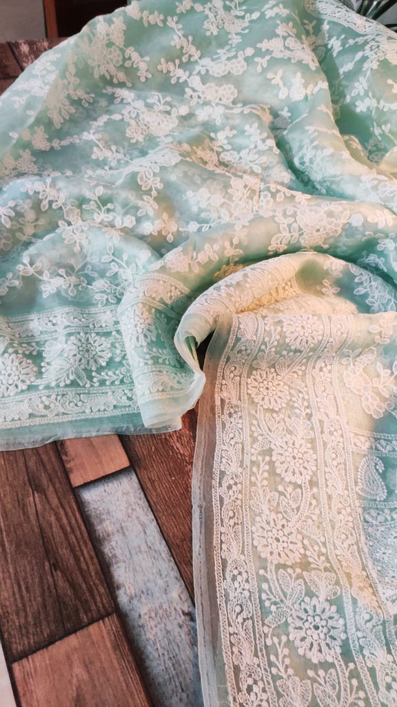Zynah Pure Organza Chikankari Saree in Pastel Shades; Custom Stitched/Ready-made Blouse, Fall, Petticoat; Shipping available USA, Worldwide