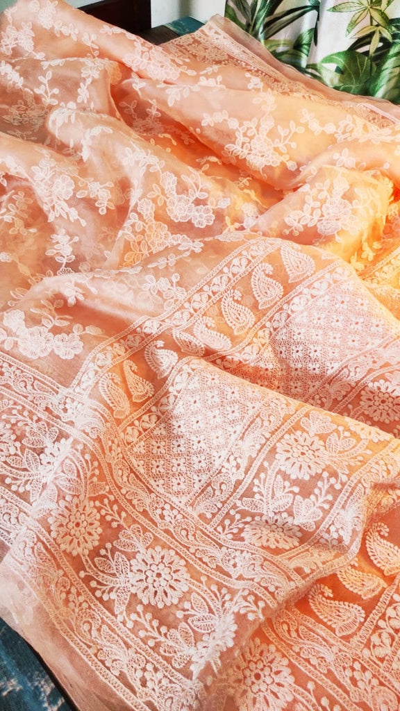 Zynah Pure Organza Chikankari Saree in Pastel Shades; Custom Stitched/Ready-made Blouse, Fall, Petticoat; Shipping available USA, Worldwide