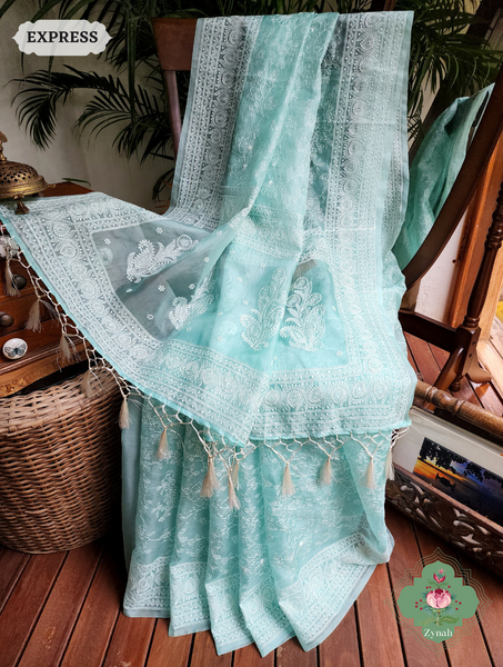 Aqua Green Organza Silk Saree with Floral Jaal Embroidery