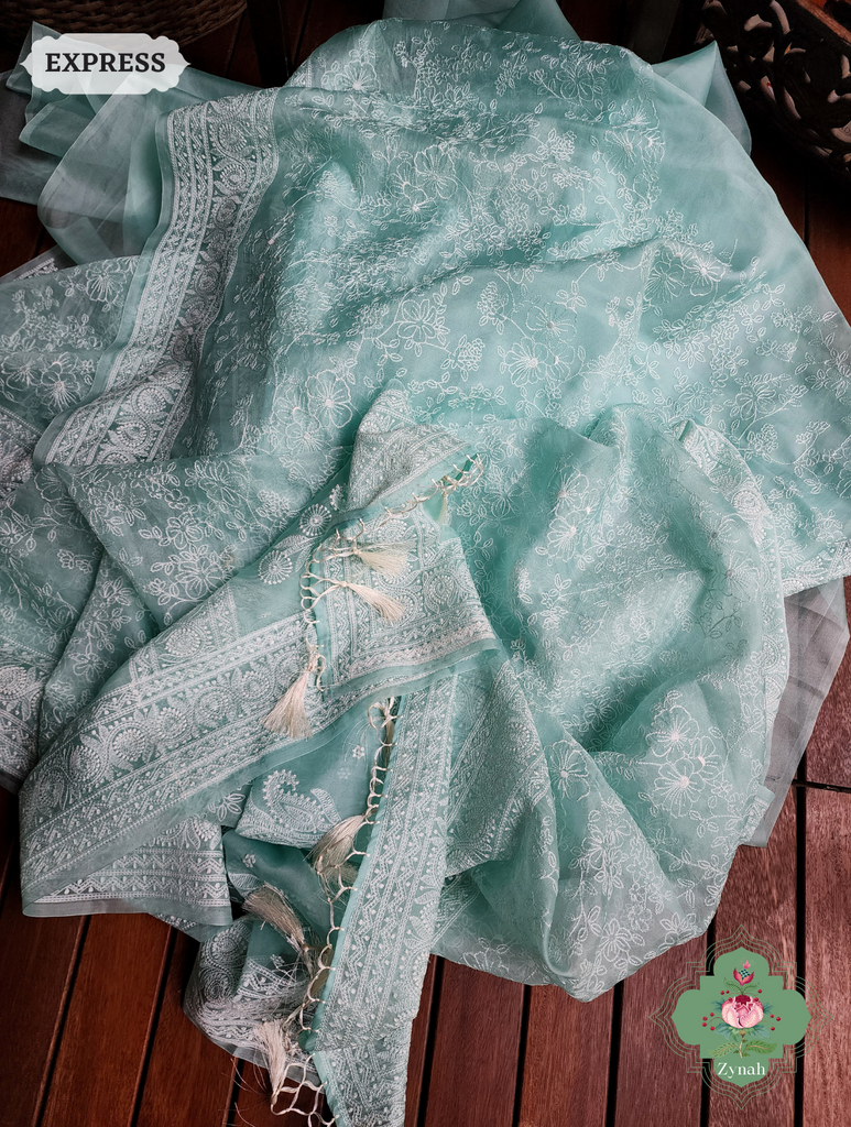 Zynah Aqua Green Pure Organza Silk Saree with Floral Jaal Thread Chikankari Embroidery; Custom Stitched/Ready-made Blouse, Fall, Petticoat; SKU: 0408202302