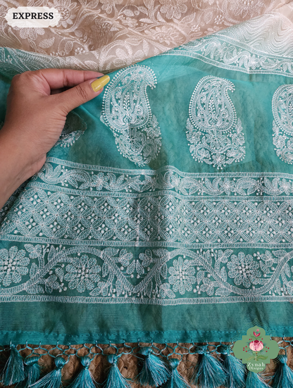 Zynah Nude & Teal Organza Saree With Chikankari Style Embroidery; Custom Stitched/Ready-made Blouse, Fall, Petticoat; SKU: 2901202503