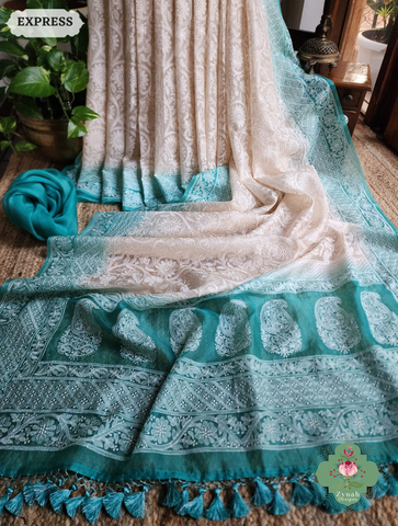 Zynah Nude & Teal Organza Saree With Chikankari Style Embroidery; Custom Stitched/Ready-made Blouse, Fall, Petticoat; SKU: 2901202503