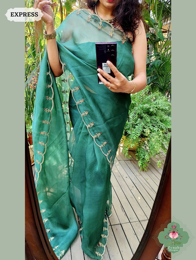 Green Organza saree 2