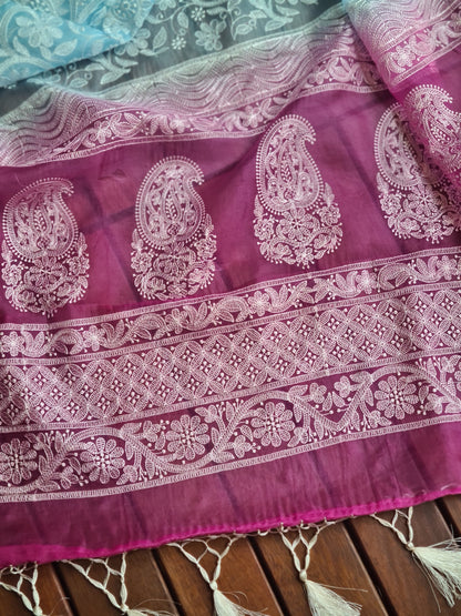 Zynah Baby Blue Color Pure Organza Silk Saree with Floral Jaal Thread Chikankari Embroidery; Custom Stitched/Ready-made Blouse, Fall, Petticoat; Shipping available USA, Worldwide