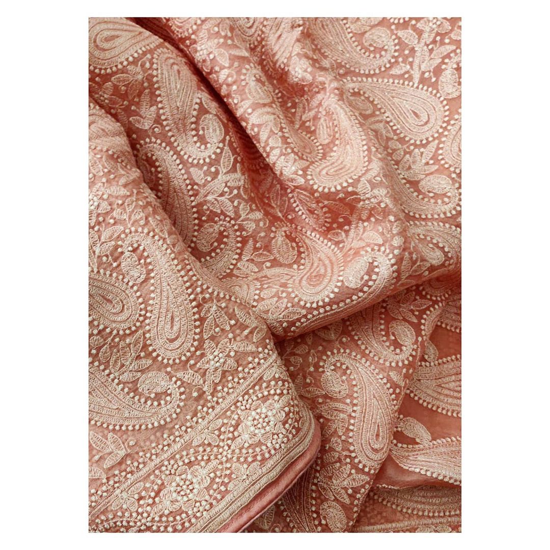Zynah Pure organza Silk Saree with Chikankari Embroidery; Custom Stitched/Ready-made Blouse, Fall, Petticoat; Shipping available USA, Worldwide