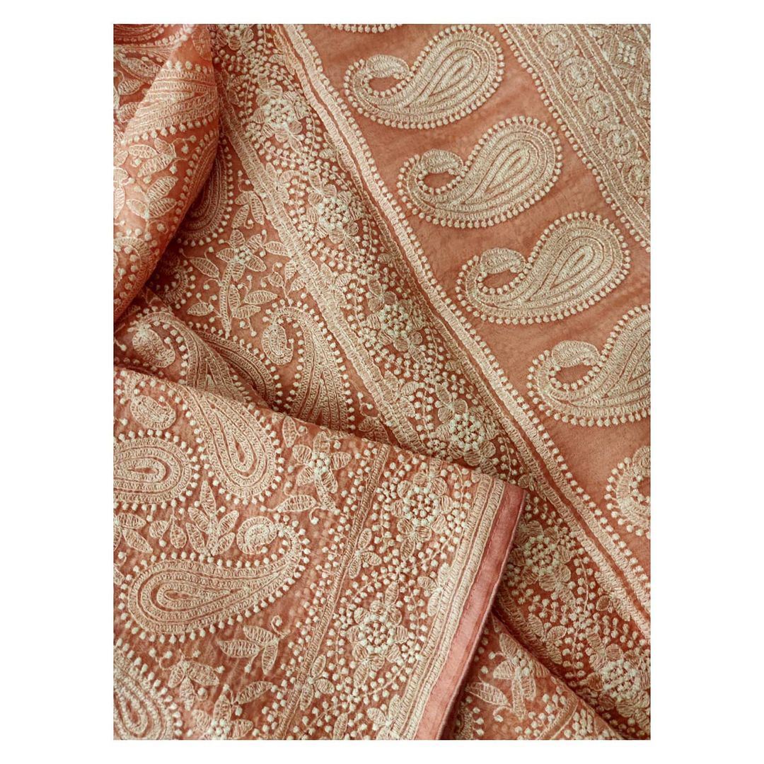 Zynah Pure organza Silk Saree with Chikankari Embroidery; Custom Stitched/Ready-made Blouse, Fall, Petticoat; Shipping available USA, Worldwide