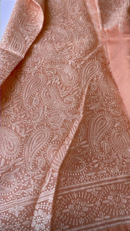 Zynah Pure Organza Silk Saree with Chikankari Embroidery; Custom Stitched/Ready-made Blouse, Fall, Petticoat; Shipping available USA, Worldwide