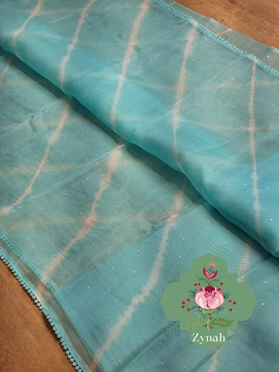 Zynah Light Blue Color Pure Organza Silk Saree with Hand-painted Lehariya & Mukaish Work; Custom Stitched/Ready-made Blouse, Fall, Petticoat; Shipping available USA, Worldwide