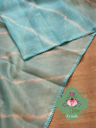Zynah Light Blue Color Pure Organza Silk Saree with Hand-painted Lehariya & Mukaish Work; Custom Stitched/Ready-made Blouse, Fall, Petticoat; Shipping available USA, Worldwide