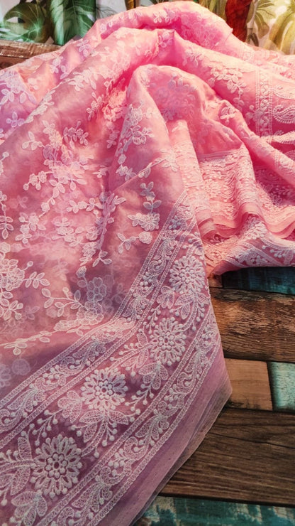 Zynah Pure Organza Chikankari Saree in Pastel Shades; Custom Stitched/Ready-made Blouse, Fall, Petticoat; Shipping available USA, Worldwide