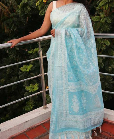 Zynah Pure Organza Chikankari Saree in Pastel Shades; Custom Stitched/Ready-made Blouse, Fall, Petticoat; Shipping available USA, Worldwide